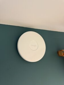 img 1745